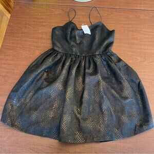 Love...Ady Fit and Flare Dress Black Gold Large